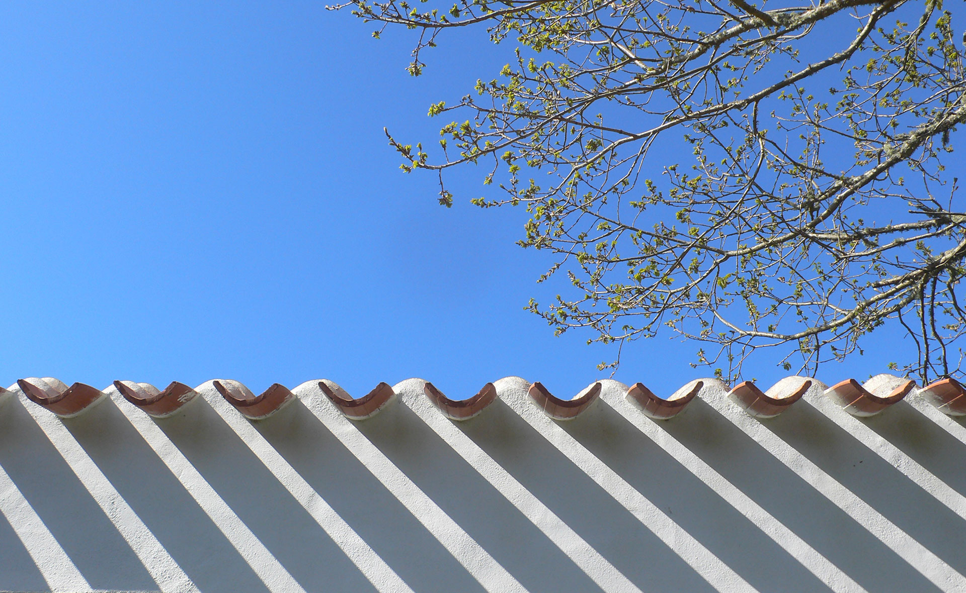 Ombres — 220409 YE PAYSAGE  7 FW — Somoya architecte